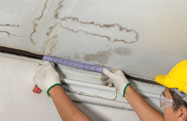 Reliable Mold Remediation contractor in Helmetta, NJ by Water Damage Irwin